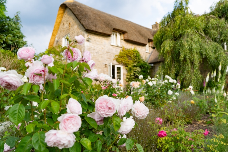 Folly Farm Cottage